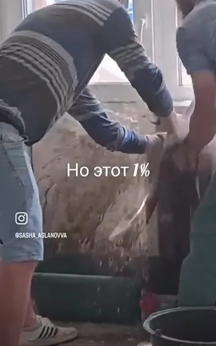 Горе сантехники отжигают